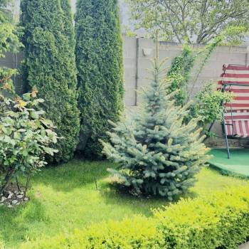 Сдается Дом, 40 м²