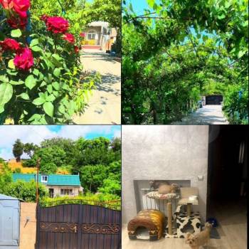 Сдается Дом, 80 м²