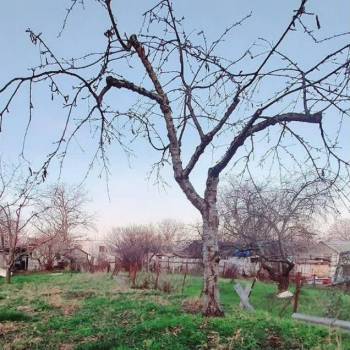 Продается Участок, 450 м²