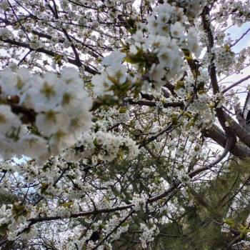 Продается 1-комнатная квартира, 30 м²