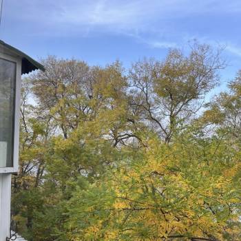 Сдается 2-х комнатная квартира, 68 м²