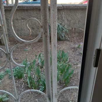 Продается 2-х комнатная квартира, 33,6 м²