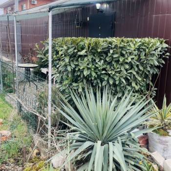 Продается 1-комнатная квартира, 40 м²