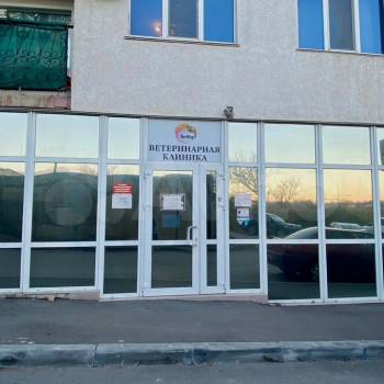 Продается Нежилое помещение, 250 м²