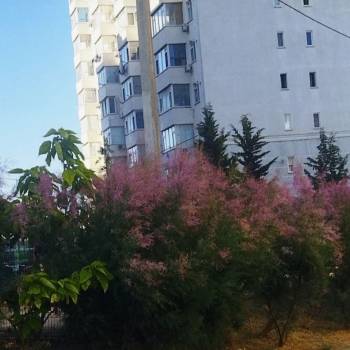 Продается 1-комнатная квартира, 56,2 м²