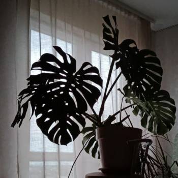 Сдается Дом, 90 м²
