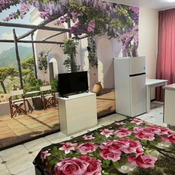 Сдается 1-комнатная квартира, 26 м²