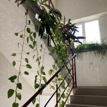 Продается 2-х комнатная квартира, 58 м²