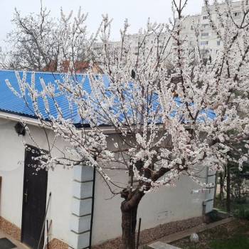 Продается Дом, 287 м²