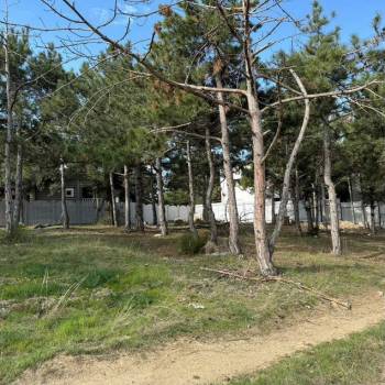 Продается Участок, 1000 м²