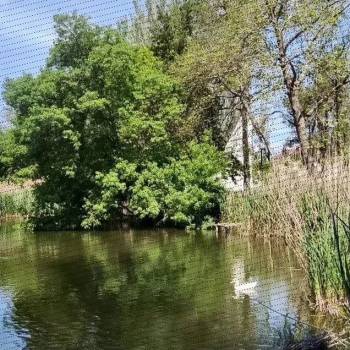 Продается Участок, 400 м²