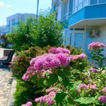 Продается 1-комнатная квартира, 25,9 м²