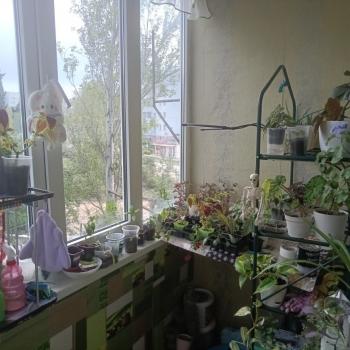 Продается 1-комнатная квартира, 17 м²