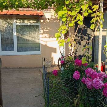 Сдается Дом, 55 м²