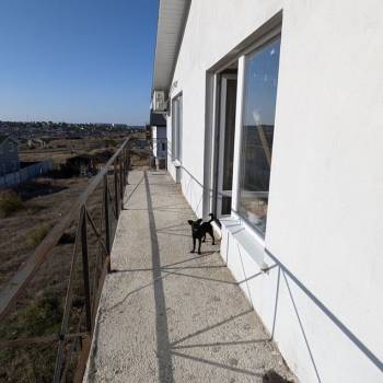 Сдается 1-комнатная квартира, 46 м²