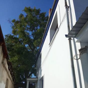 Сдается Комната, 105 м²