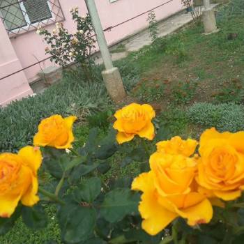 Продается Дом, 60 м²