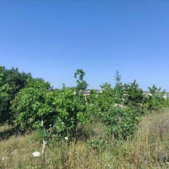 Продается Участок, 700 м²