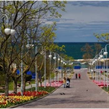 Сдается Комната, 29 м²