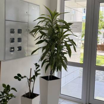 Сдается 1-комнатная квартира, 26 м²