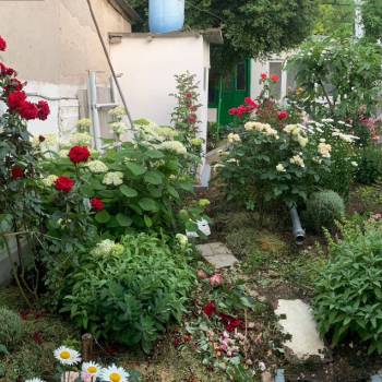 Сдается Дом, 50 м²