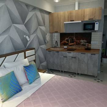 Сдается 1-комнатная квартира, 23,5 м²