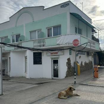 Сдается Нежилое помещение, 50 м²