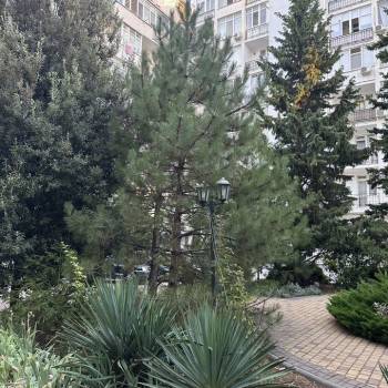 Сдается 2-х комнатная квартира, 85 м²