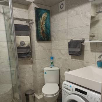 Сдается 1-комнатная квартира, 26,4 м²
