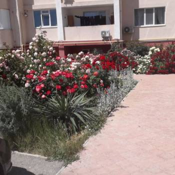 Сдается 1-комнатная квартира, 46 м²