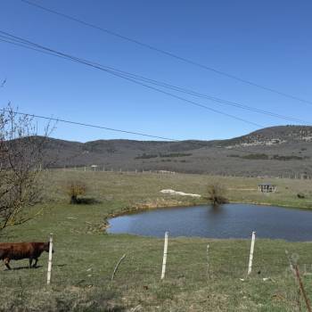 Продается Участок, 1300000 м²