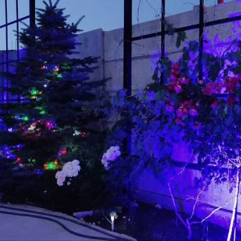 Сдается 1-комнатная квартира, 22 м²