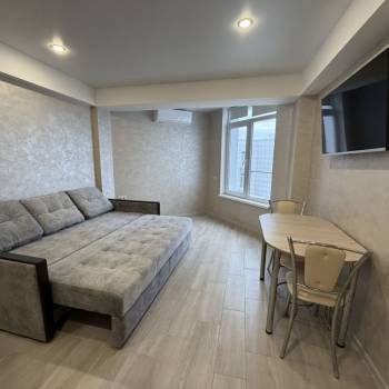 Сдается 1-комнатная квартира, 23,4 м²