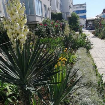 Продается 1-комнатная квартира, 37,6 м²