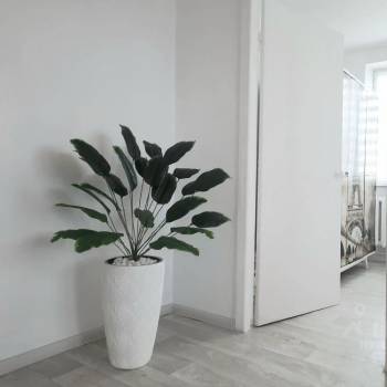 Сдается 2-х комнатная квартира, 44,2 м²