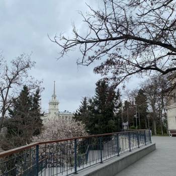 Сдается Комната, 14 м²