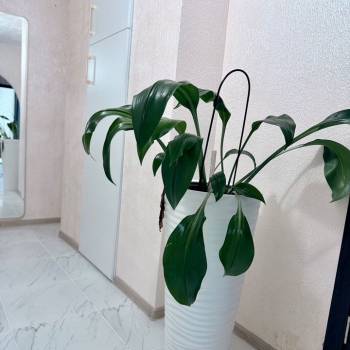 Сдается 2-х комнатная квартира, 46,6 м²