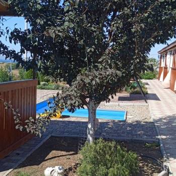 Сдается 1-комнатная квартира, 20 м²