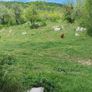 Продается Участок, 1000 м²