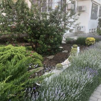 Сдается Многокомнатная квартира, 80 м²