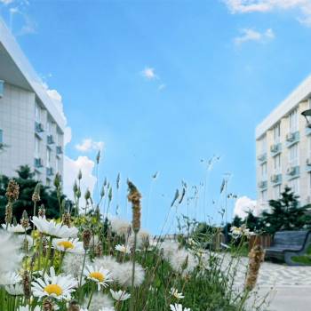 Продается 1-комнатная квартира, 25,1 м²