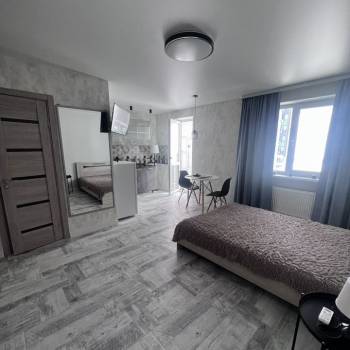 Сдается 1-комнатная квартира, 29,9 м²
