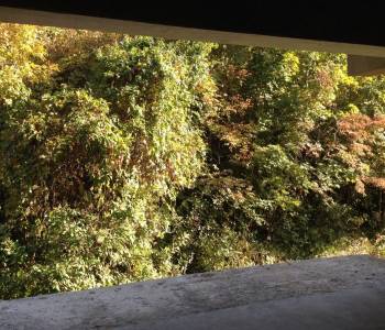 Продается Дом, 150 м²