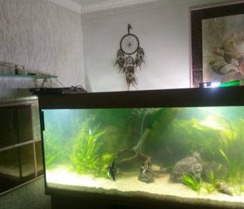 Сдается Комната, 12 м²