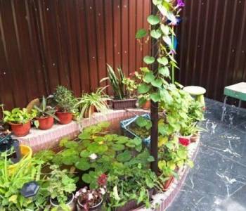 Сдается Комната, 12 м²