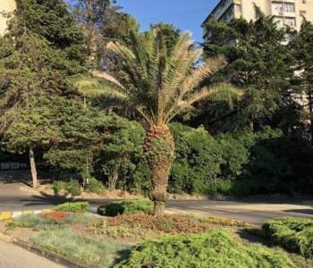 Сдается Комната, 15 м²