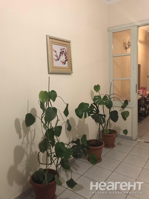 Фотография №5