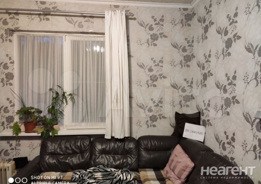 Фотография №3