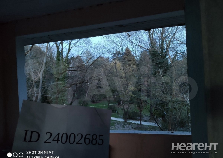 Фотография №5