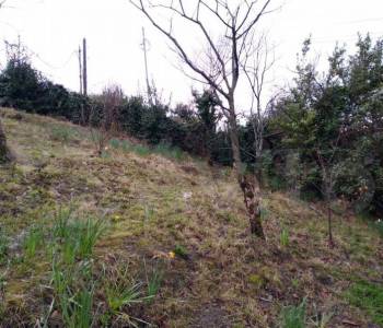 Продается Участок, 360 м²